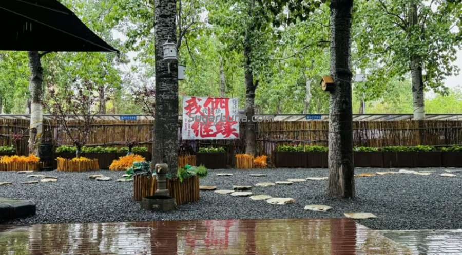 图片[6]-北京高馆茶咖：朝阳打工人的客厅，待一整天不想走-甜蜜私享时光|专属养生按摩|个人SPA体验