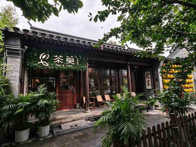 东城商务&约会の茶室｜在前门三里河，我找到了北京喝茶放松的“小江南”-甜蜜私享时光|专属养生按摩|个人SPA体验 - SugarLuna都市体验网